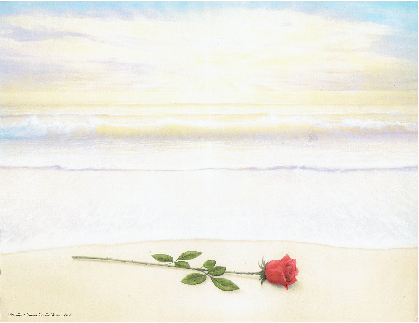The Oceans Rose