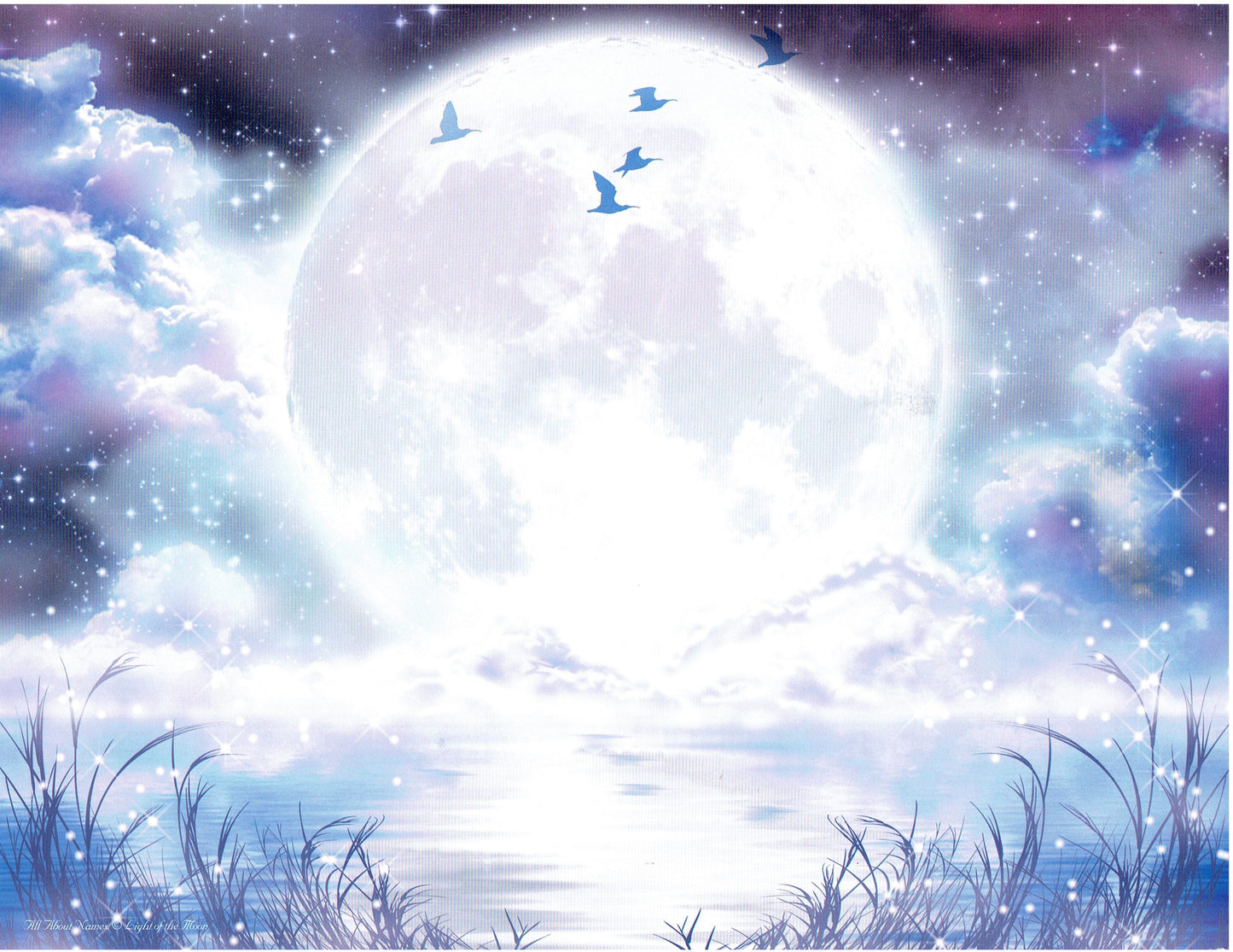 Light of the Moon