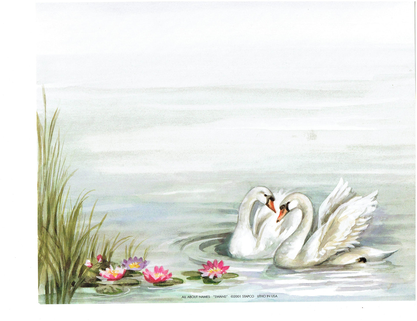 Swans