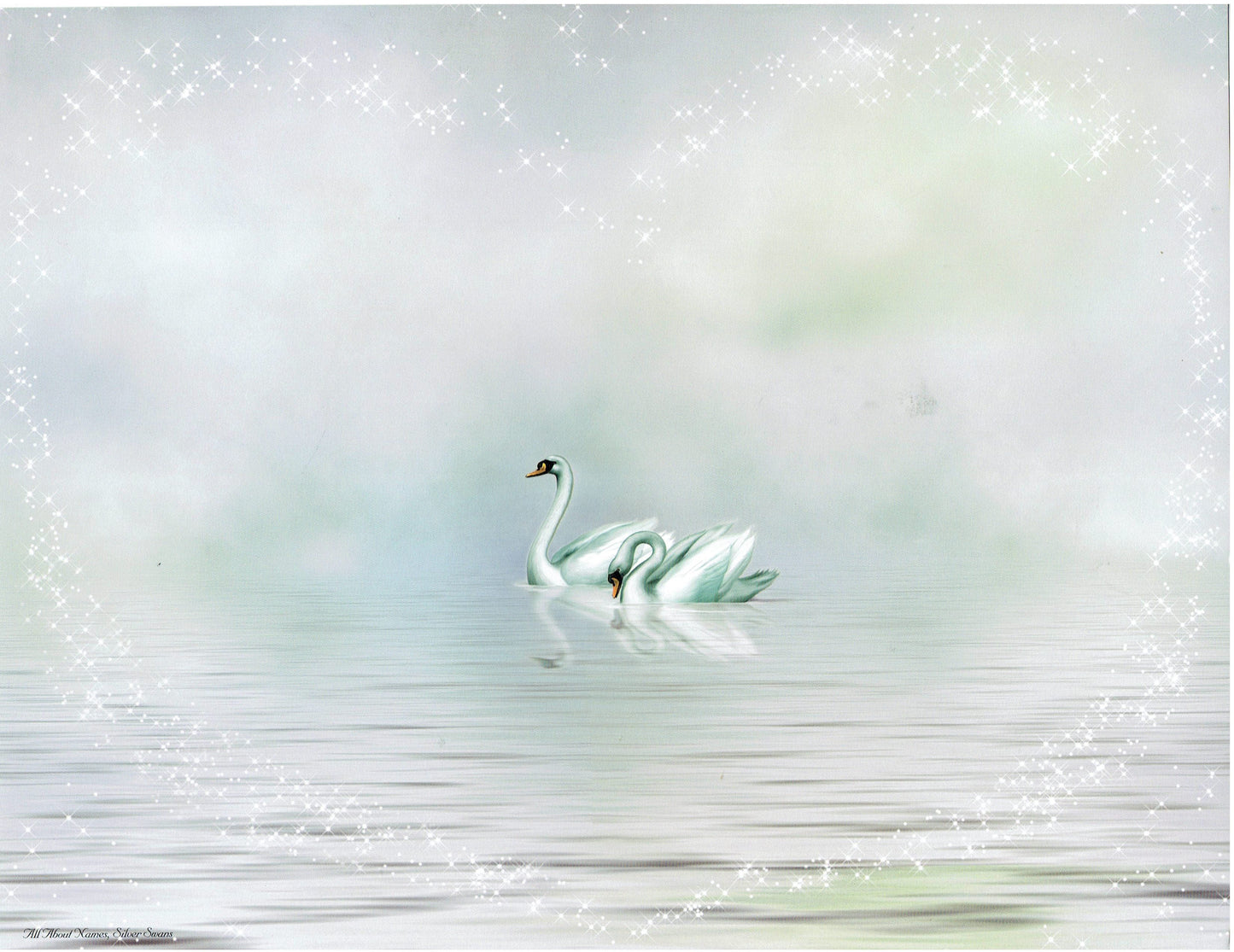 Silver Swans