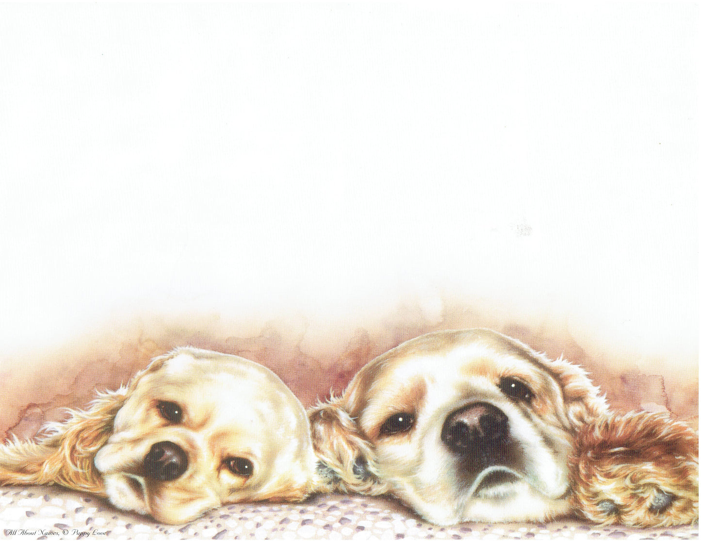 Puppy Love