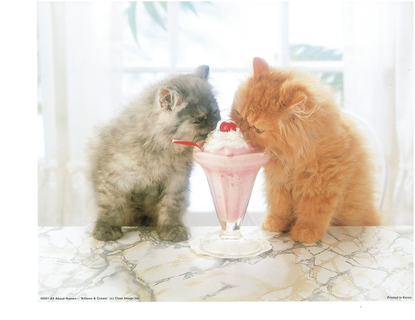 Sweetheart Cats
