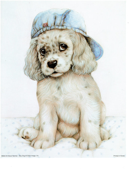 Boy Dog