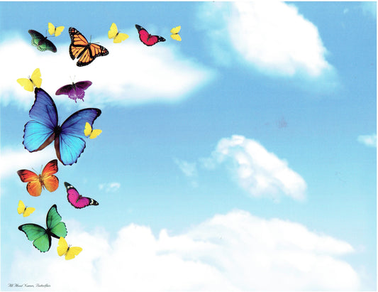 Butterflies