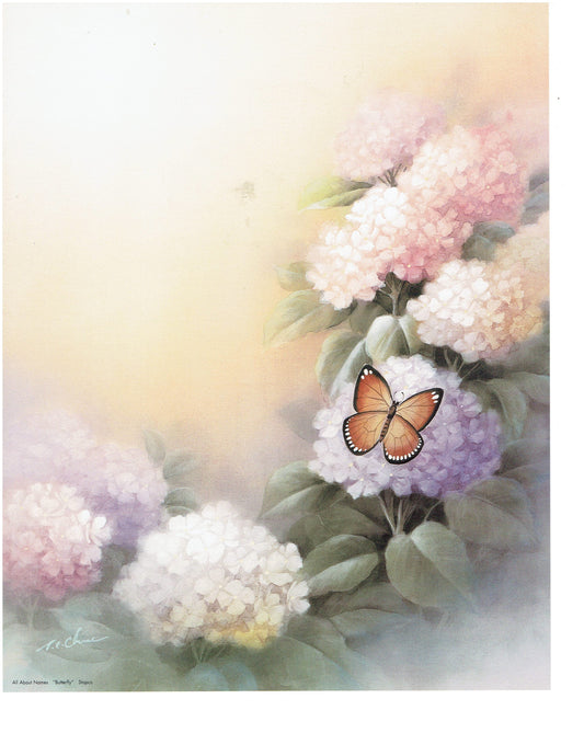 Butterfly