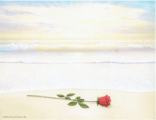 The Oceans Rose