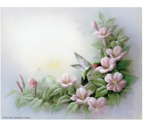 Hummingbird II