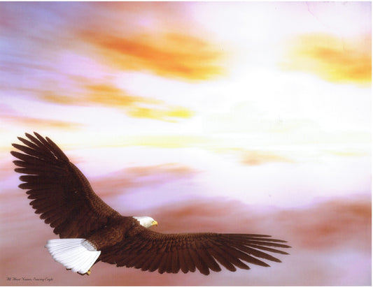 Soaring Eagle