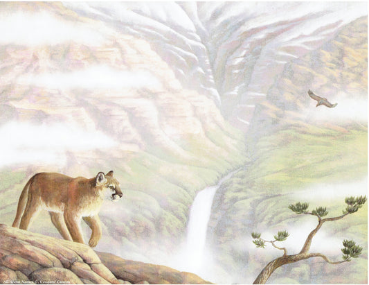 Cougar's Canyon