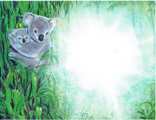 Koala Bears