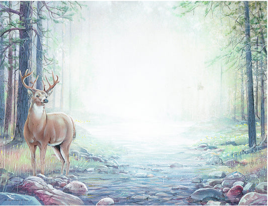 Deer