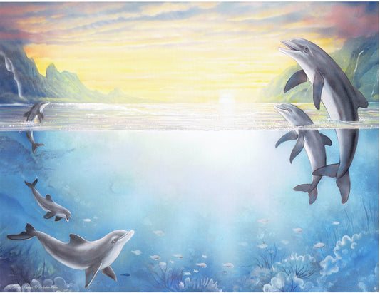 Dolphins Cove