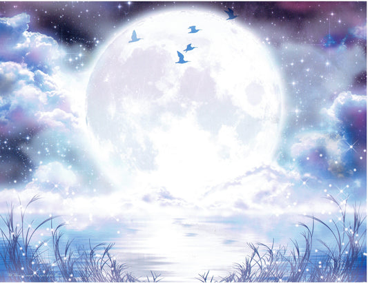 Light of the Moon