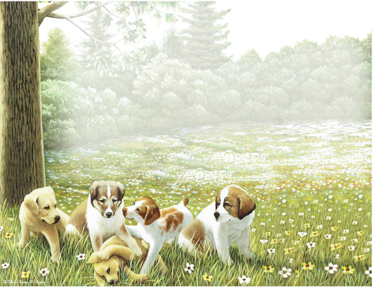 Puppies