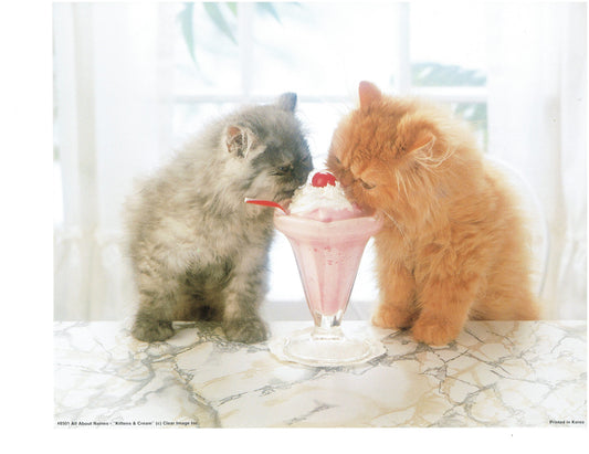 Sweetheart Cats