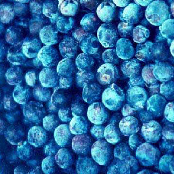 Blueberry