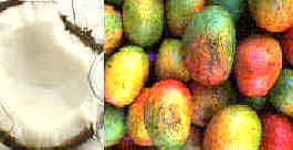 Coco Mango