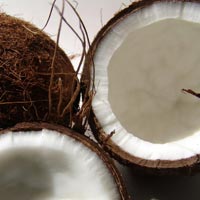 Coconut