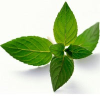 Peppermint